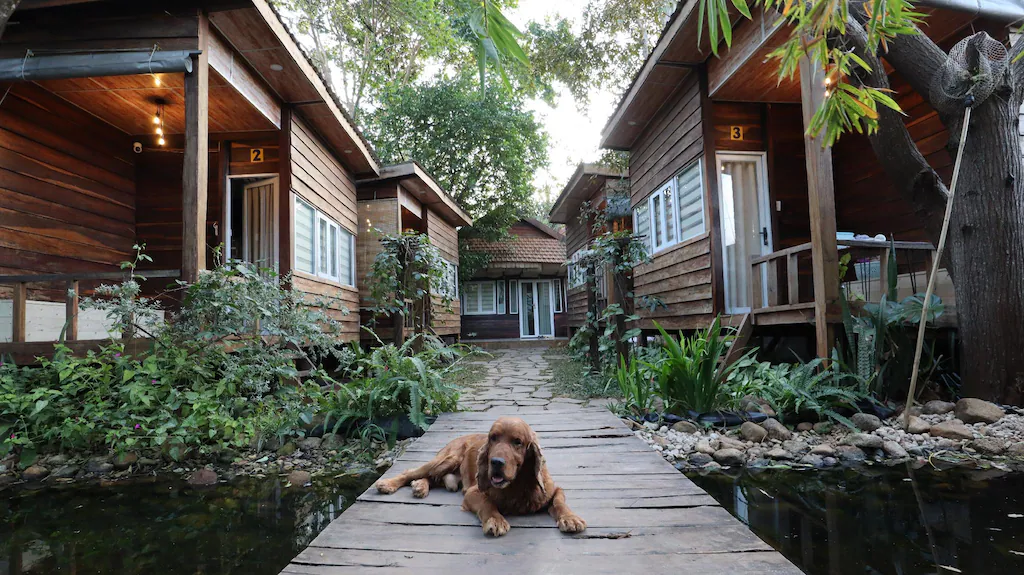 The 47 House Buôn Ma Thuột 