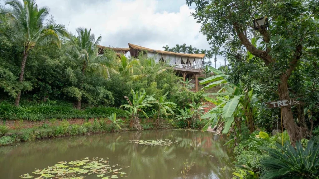 Khu vực nhà hàng xanh mát tại Tre Vibe