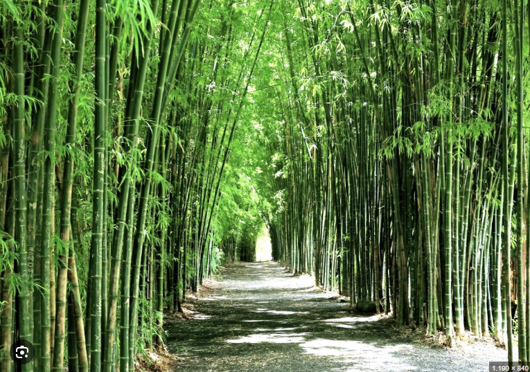 Khám phá Khu du lịch KoTam