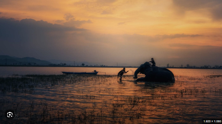 Khám phá Hồ Lắk 