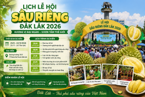 Lịch lễ hội sầu riêng Đắk Lắk 2026